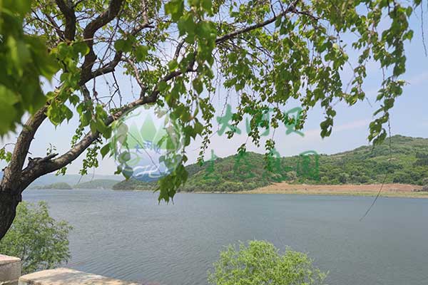 沈陽大河貝墓園，貼心服務，守護家屬情感